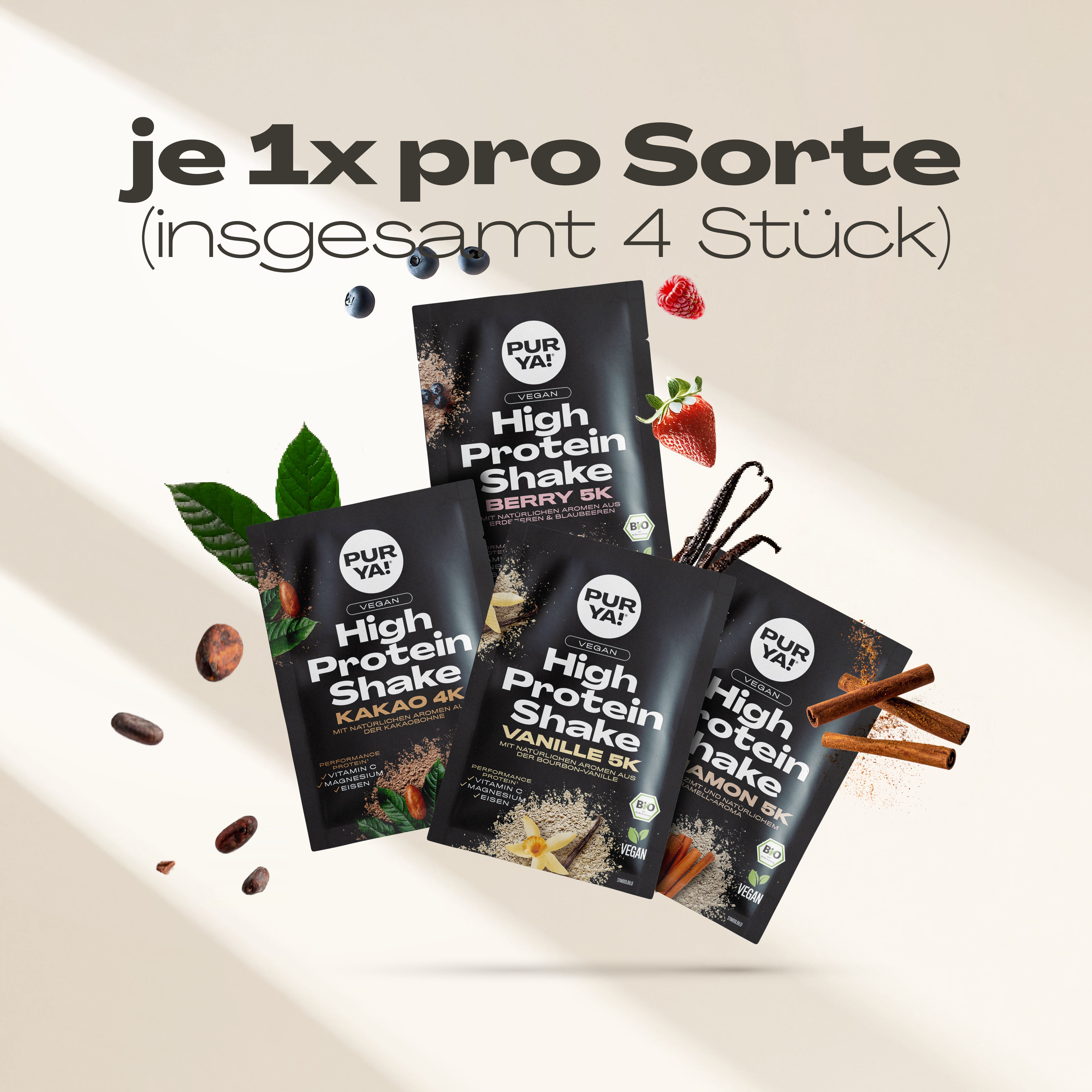 PURYA! Starterbundle