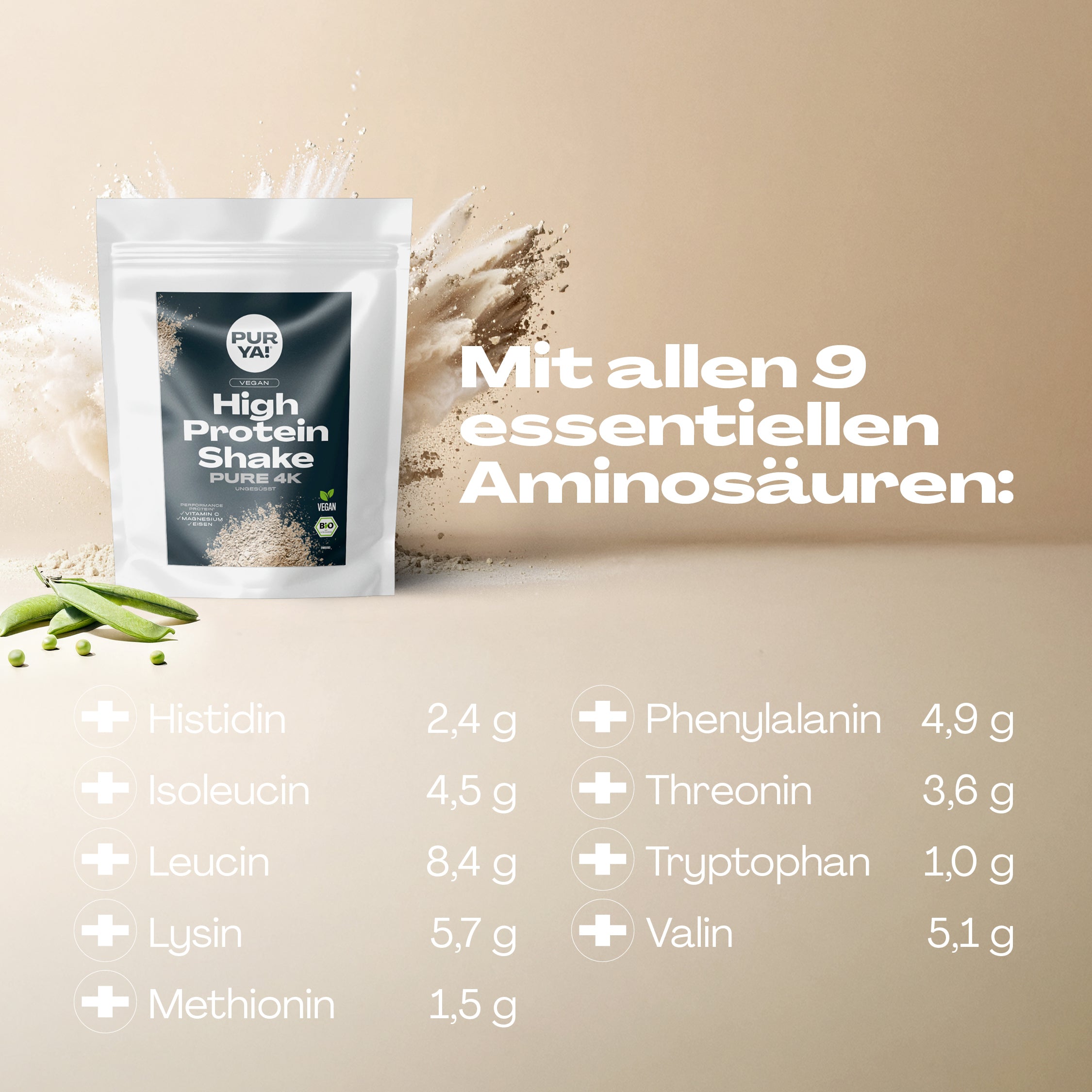 Veganes Proteinpulver Pure 600g