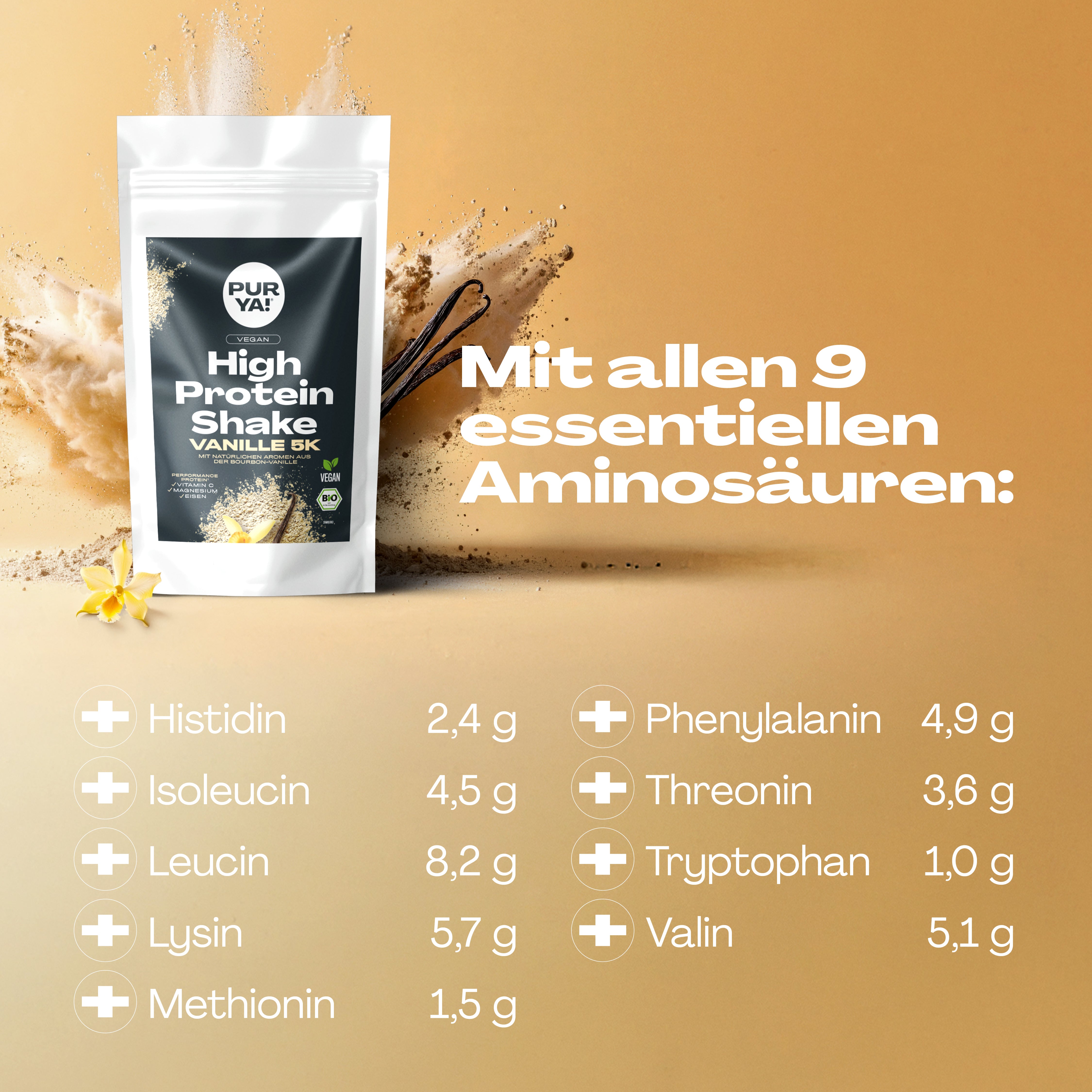 Veganes Proteinpulver Vanille 600g