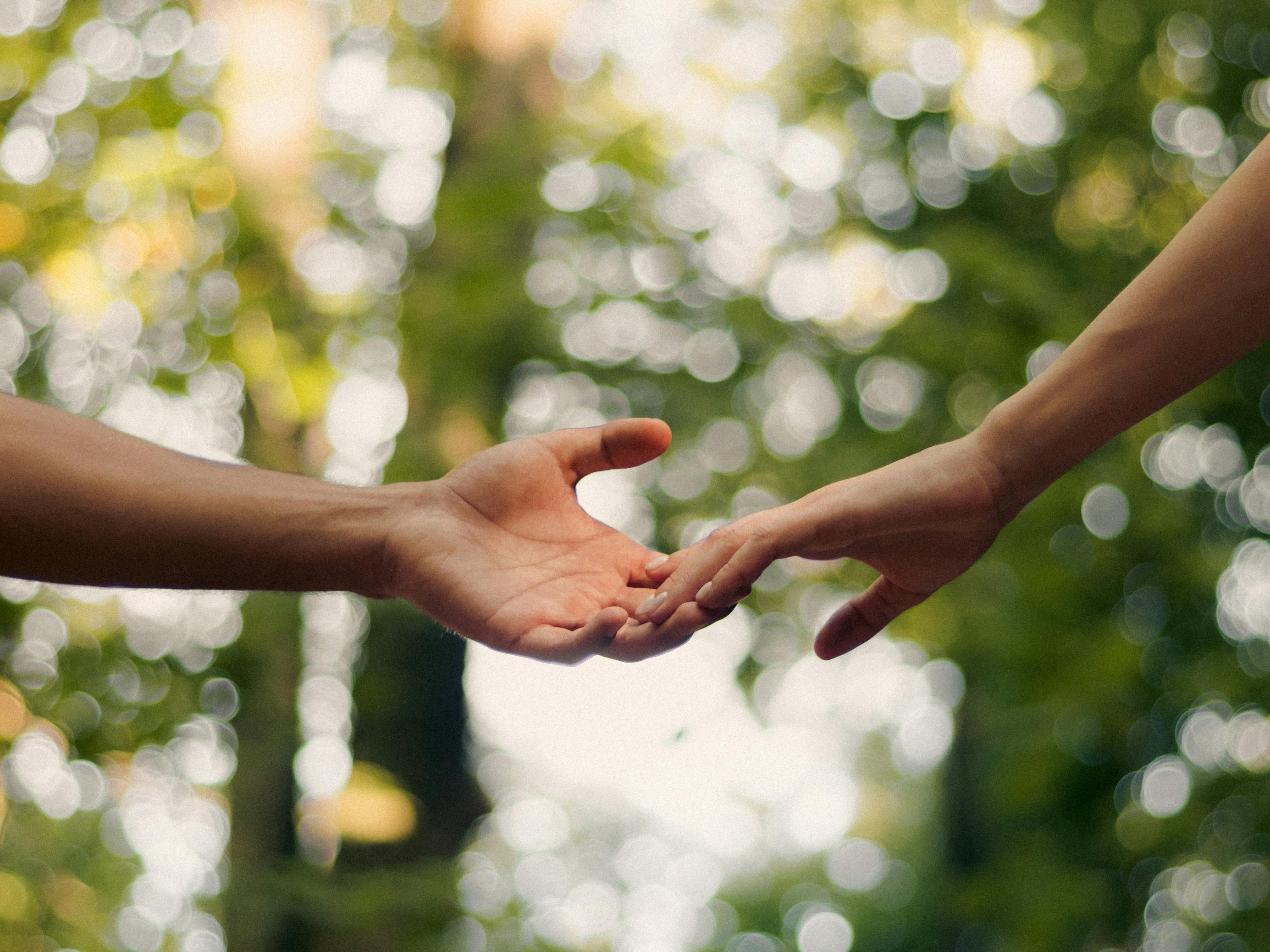 Nachhaltigkeit: Planetary Health & Planetary Health Diet