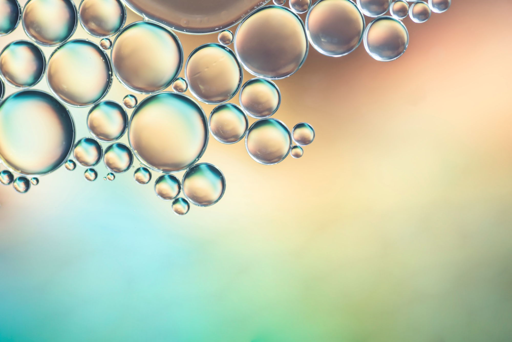 Aminosäuren: Die Bausteine des Lebens