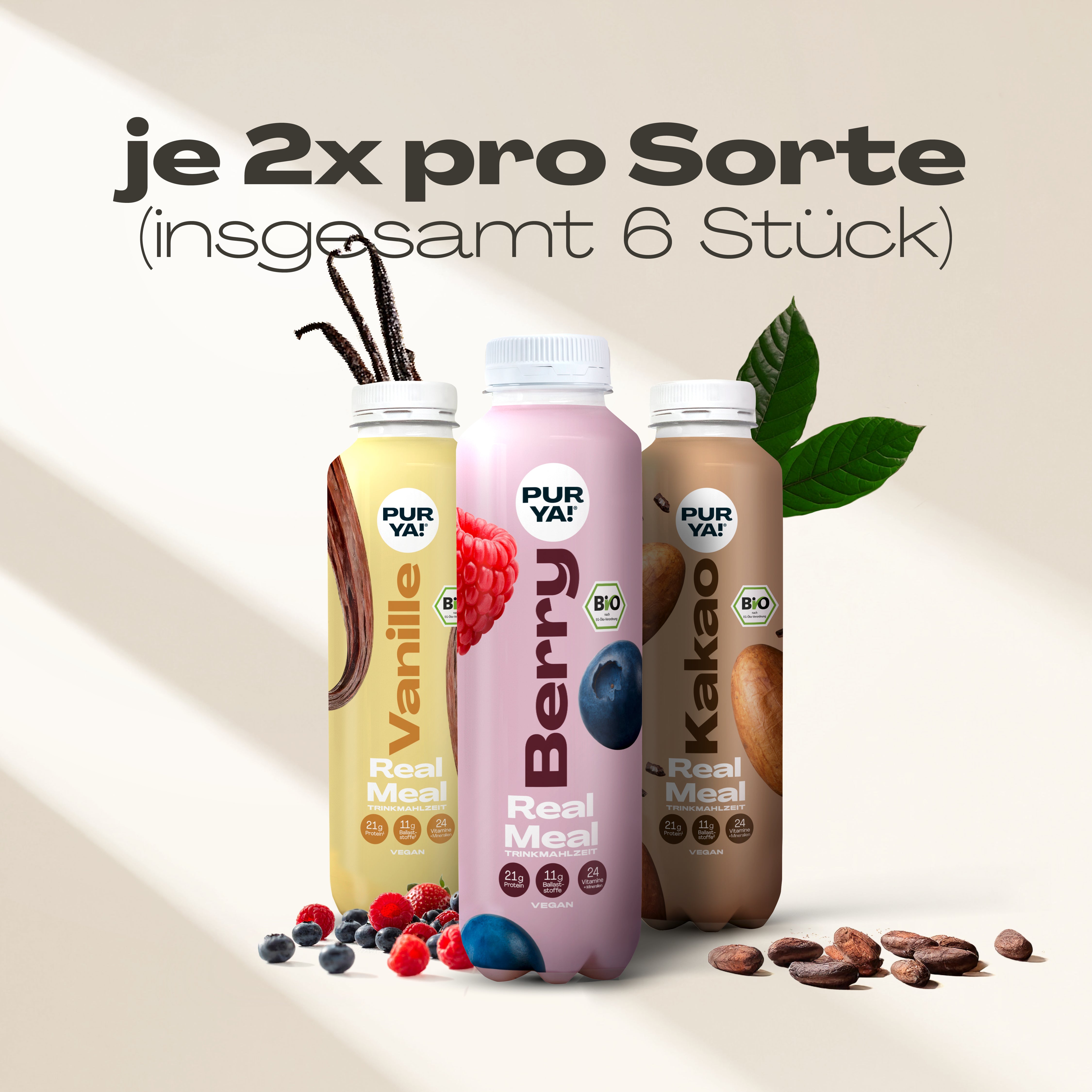 PURYA! Starterbundle