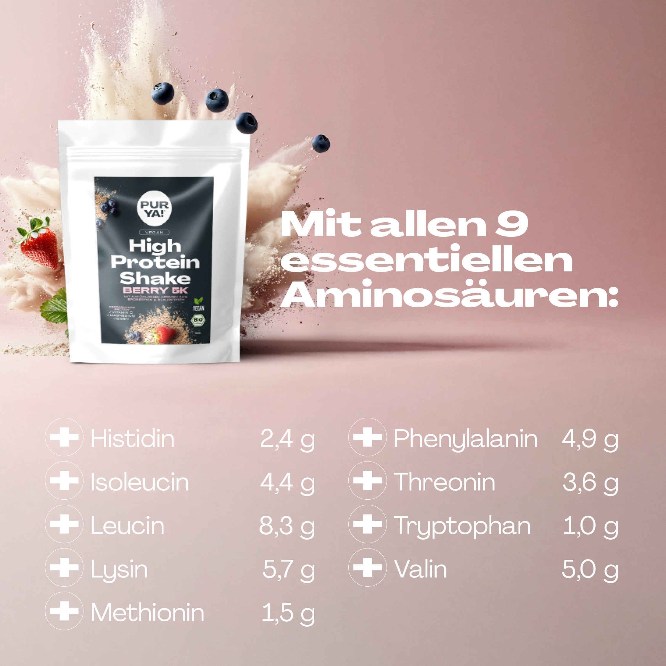 Veganes Proteinpulver Berry 600g
