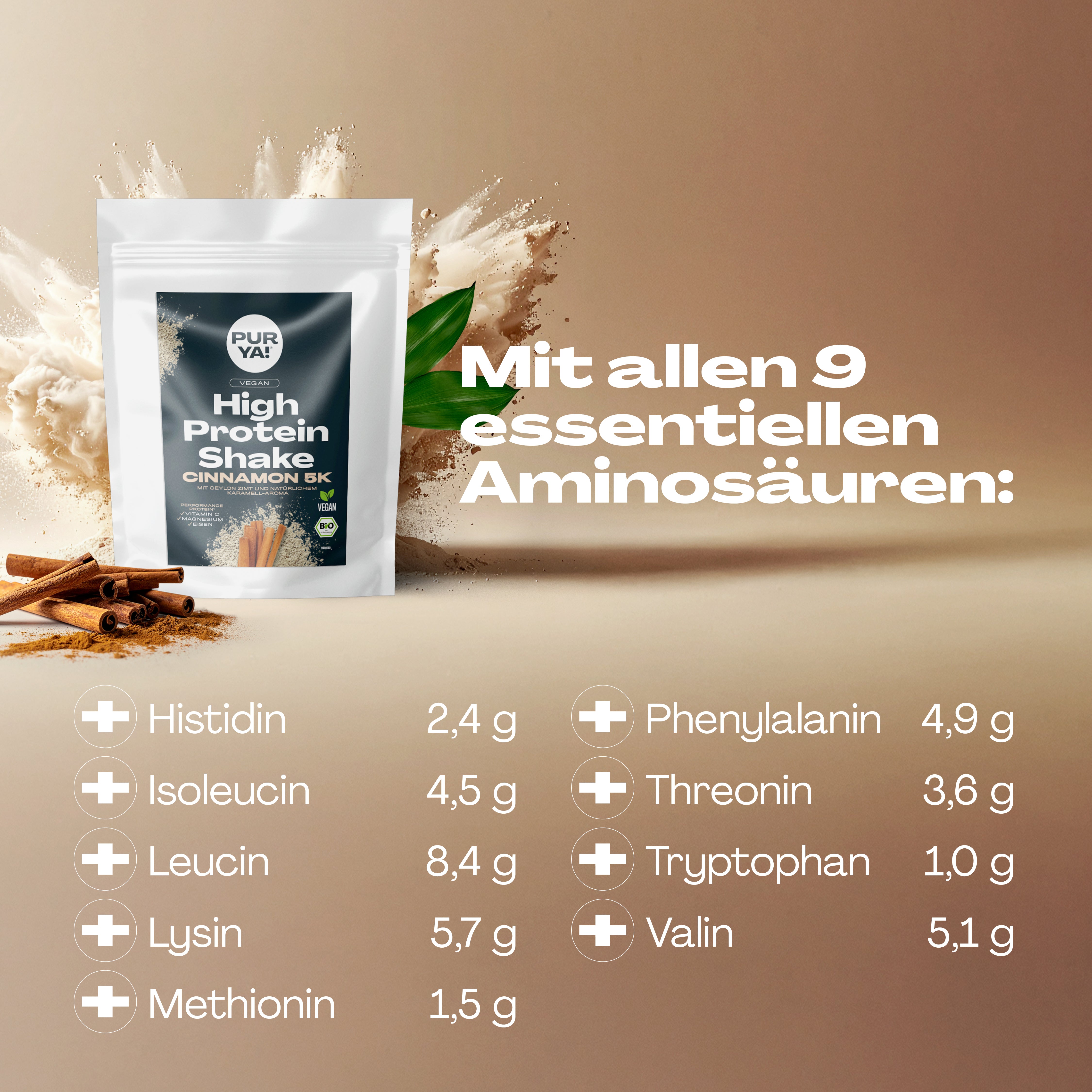 Veganes Proteinpulver Cinnamon 600g