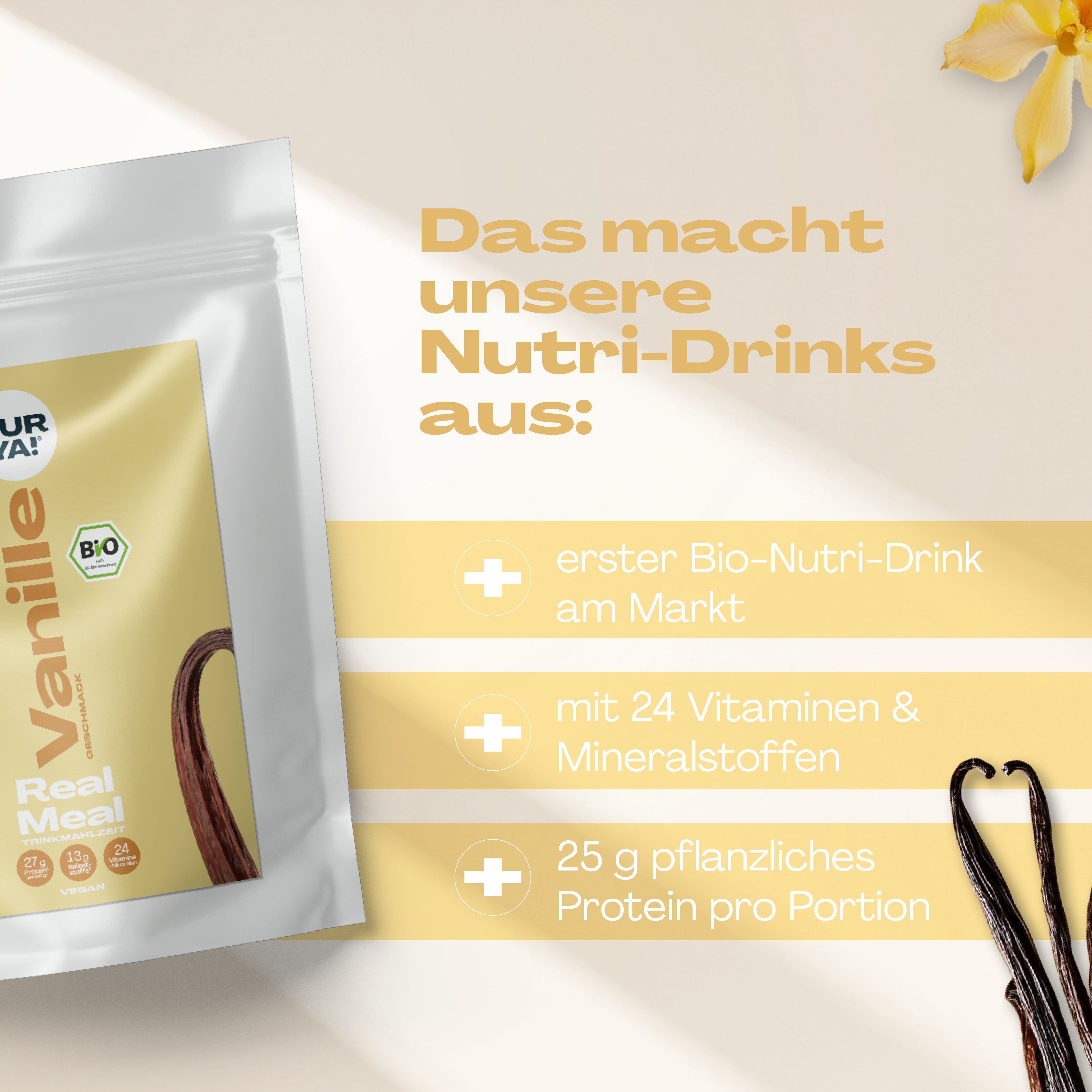 Vanille Drink Pulver