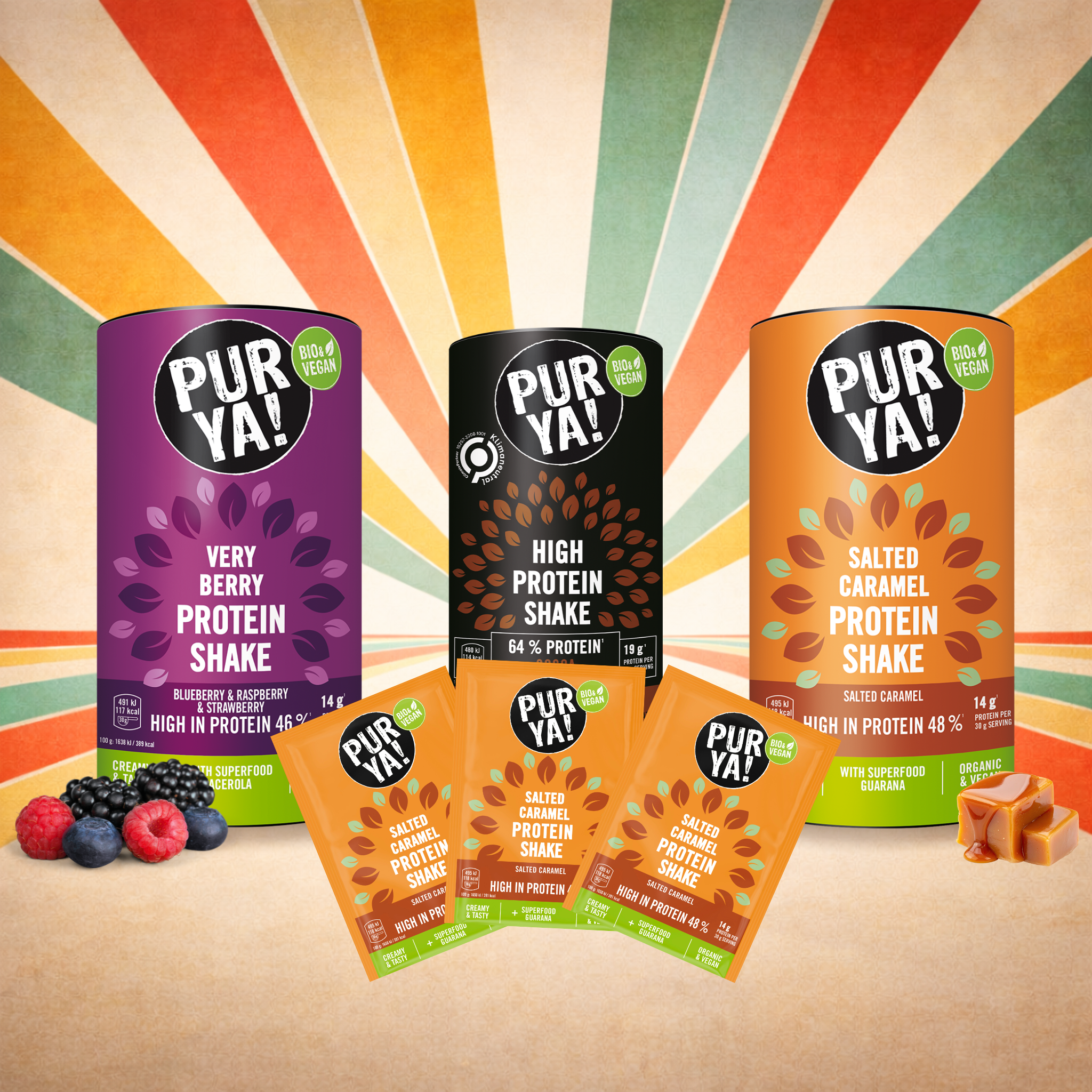 Protein Retro-Bundle