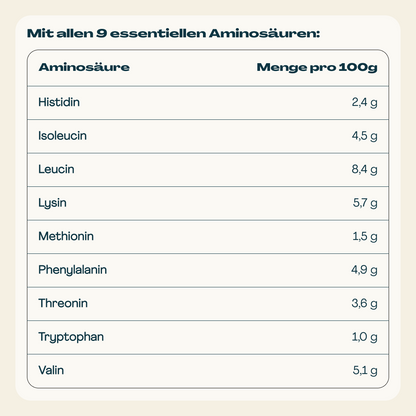 High Protein Shake Kakao (3x 300g)